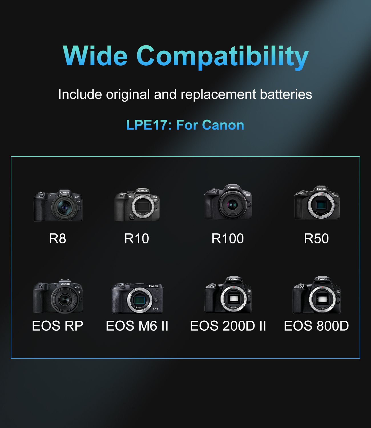 20W USB-C PD Dual Slot Charger - Canon Camera Eos R8 review and price